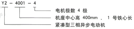 YR系列(H355-1000)高压YJTFKK4501-2三相异步电机西安西玛电机型号说明